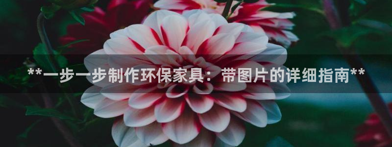 杏耀平台招商的流程
