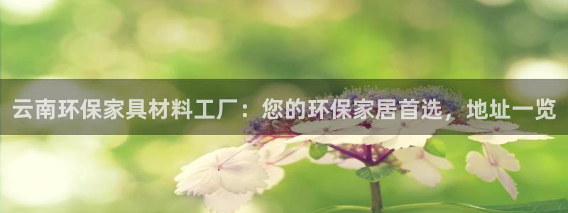 杏耀平台官网