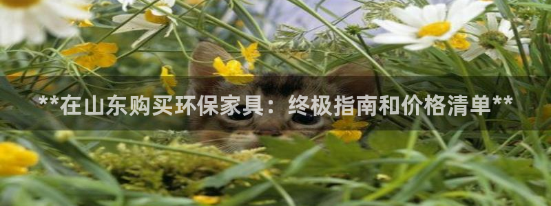 杏耀平台登陆测速