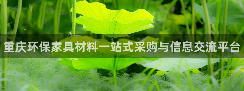 杏耀官网登陆
