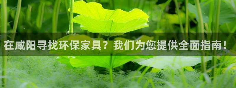 杏耀平台怎样