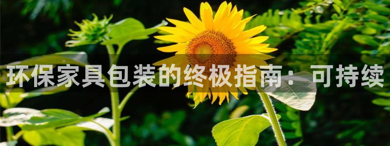 杏耀平台注册问一问