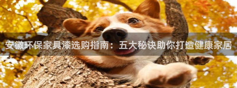 杏耀开户app下载