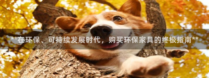 杏耀平台代理