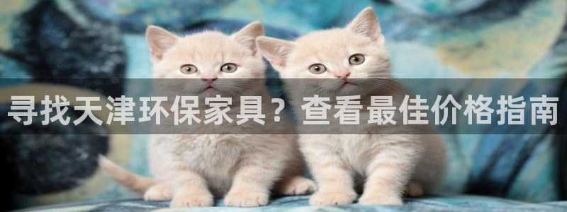 杏耀平台待遇
