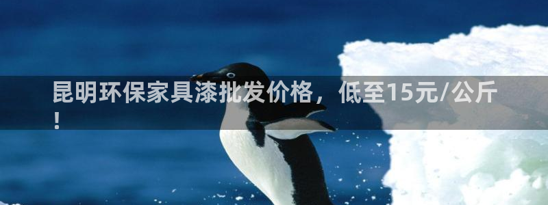 杏耀代理主管qq