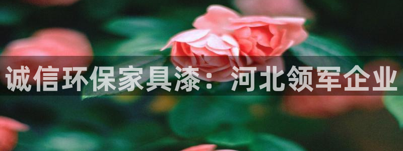 杏耀平台服务中心电话号码