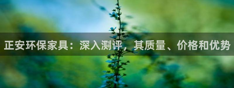 杏耀注册登录平台：正安环保家具：深入测评，其质量、价格和优势