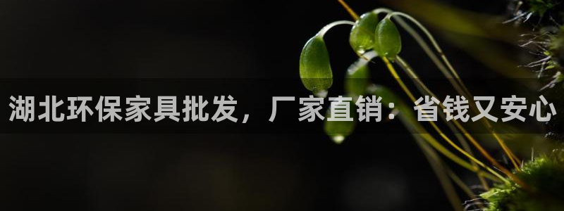 杏耀平台测速登陆