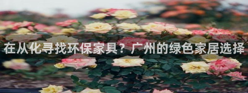 杏耀平台登录网站：在从化寻找环保家具？广州的绿色家居选择