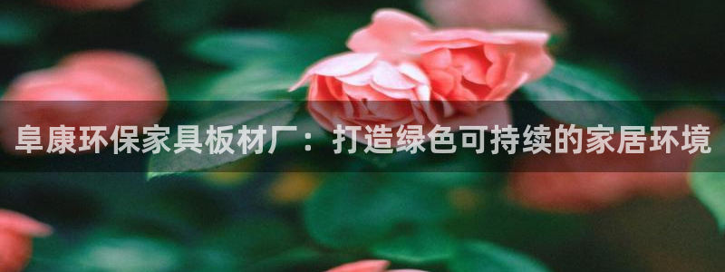杏耀平台已7O777：阜康环保家具板材厂：打造绿色可持续的家