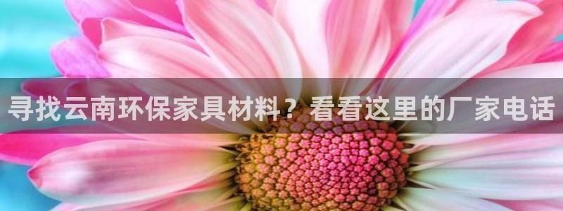 杏耀平台的专用通道：寻找云南环保家具材料？看看这里的厂家电话