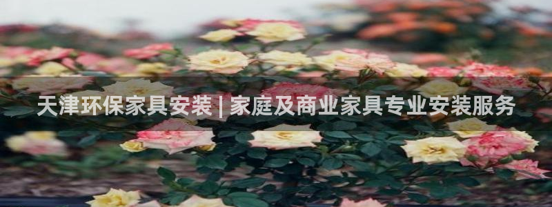杏耀平台首页