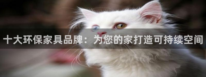 杏耀测速娱乐：十大环保家具品牌：为您的家打造可持续空间