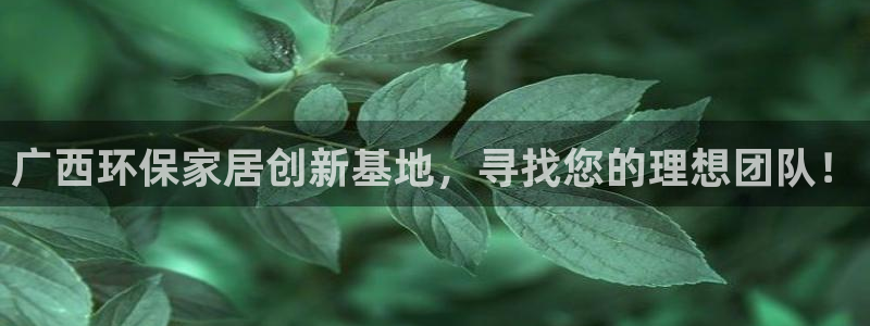 杏耀登陆电脑线路测速
