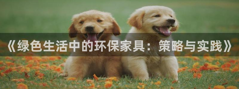 杏耀平台娱乐登陆