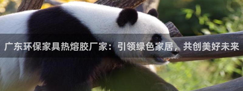 杏耀平台几年了