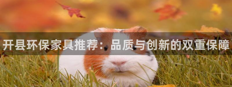 杏耀官网注册地址：开县环保家具推荐：品质与创新的双重保障