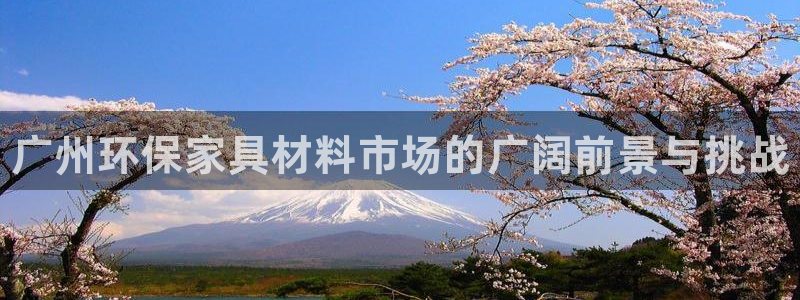 杏耀3代理：广州环保家具材料市场的广阔前景与挑战