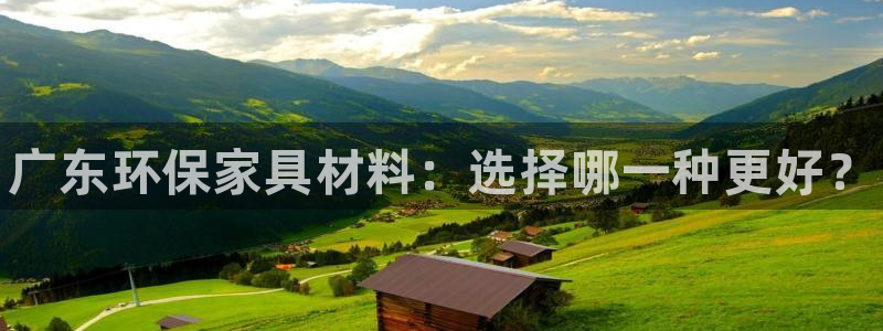 杏耀平台还在吗：广东环保家具材料：选择哪一种更好？