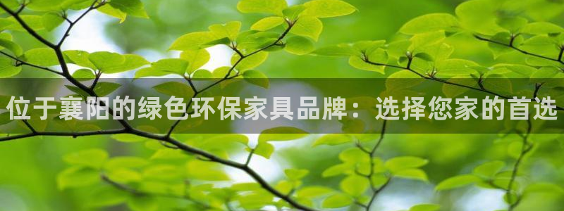 杏耀登入官网：位于襄阳的绿色环保家具品牌：选择您家的首选