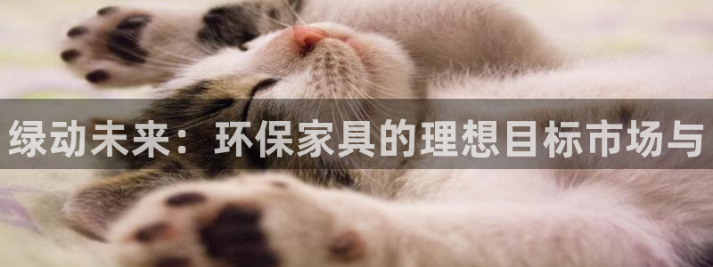 杏耀平台服务中心怎么样